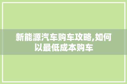 新能源汽车购车攻略,如何以最低成本购车