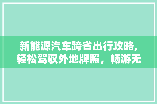 新能源汽车跨省出行攻略,轻松驾驭外地牌照，畅游无忧