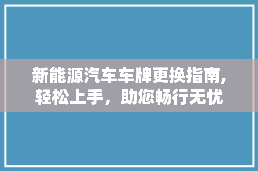 新能源汽车车牌更换指南,轻松上手，助您畅行无忧