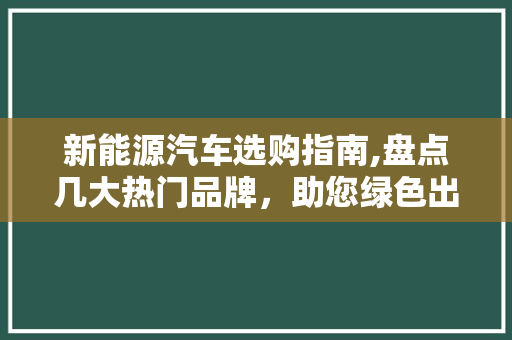 新能源汽车选购指南,盘点几大热门品牌，助您绿色出行无忧