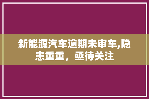新能源汽车逾期未审车,隐患重重，亟待关注