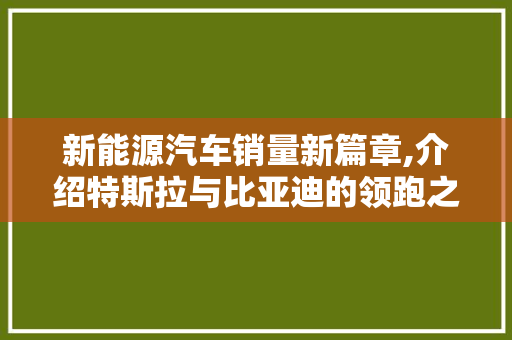 新能源汽车销量新篇章,介绍特斯拉与比亚迪的领跑之路