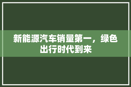 新能源汽车销量第一，绿色出行时代到来