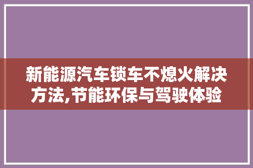 新能源汽车锁车不熄火解决方法,节能环保与驾驶体验的双重保障