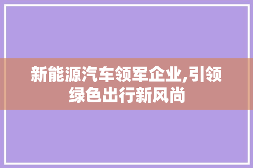 新能源汽车领军企业,引领绿色出行新风尚