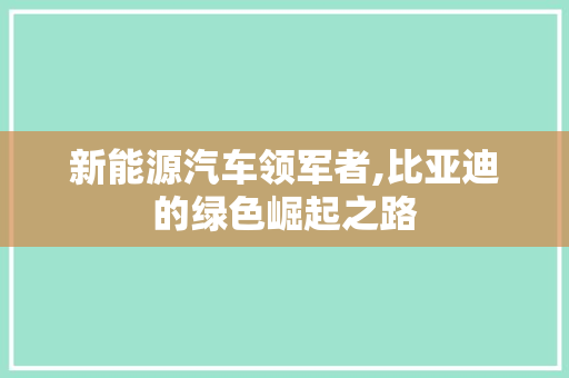 新能源汽车领军者,比亚迪的绿色崛起之路