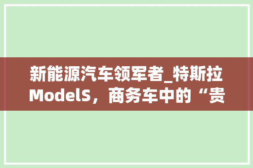 新能源汽车领军者_特斯拉ModelS，商务车中的“贵族”典范