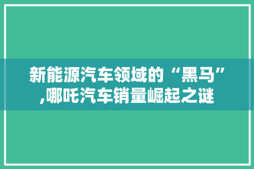 新能源汽车领域的“黑马”,哪吒汽车销量崛起之谜