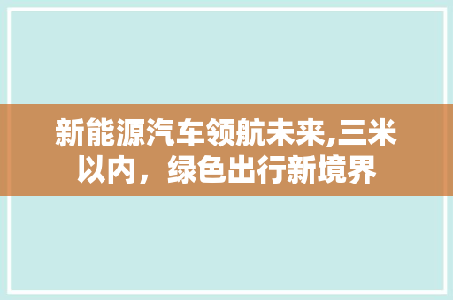 新能源汽车领航未来,三米以内，绿色出行新境界