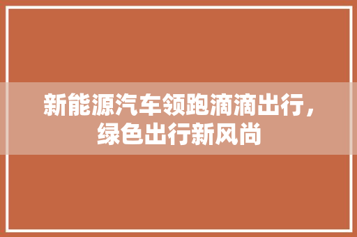 新能源汽车领跑滴滴出行，绿色出行新风尚