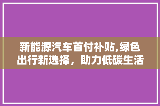 新能源汽车首付补贴,绿色出行新选择，助力低碳生活