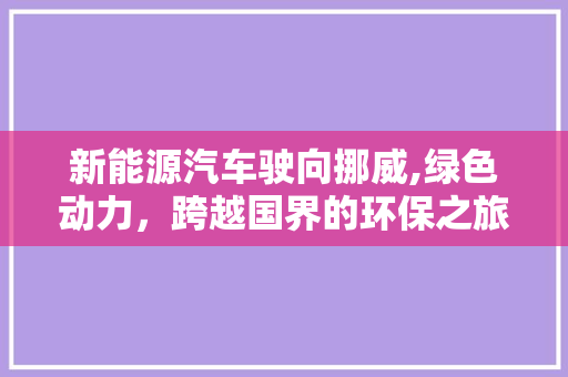 新能源汽车驶向挪威,绿色动力，跨越国界的环保之旅