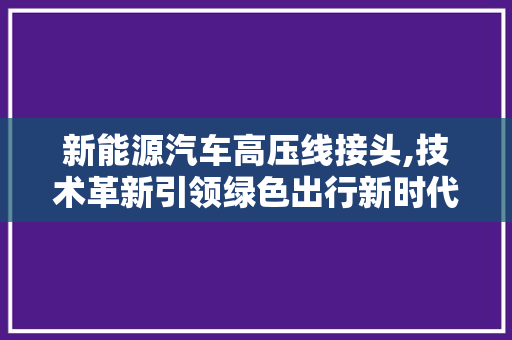 新能源汽车高压线接头,技术革新引领绿色出行新时代