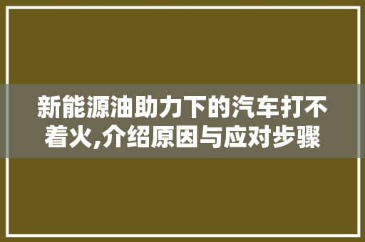 新能源油助力下的汽车打不着火,介绍原因与应对步骤