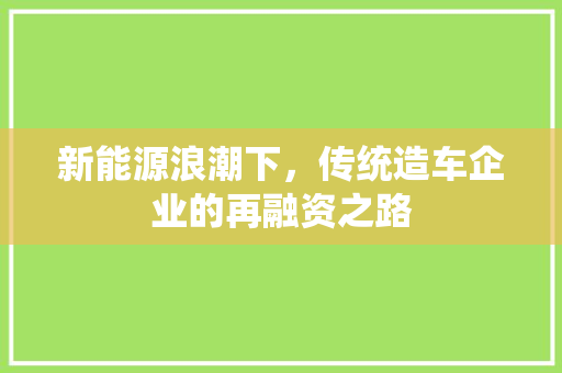新能源浪潮下，传统造车企业的再融资之路