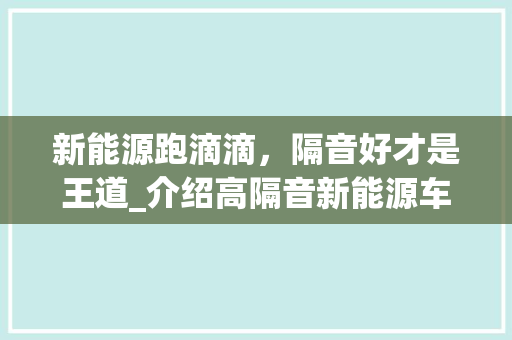 新能源跑滴滴，隔音好才是王道_介绍高隔音新能源车型