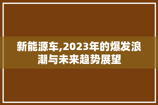 新能源车,2023年的爆发浪潮与未来趋势展望