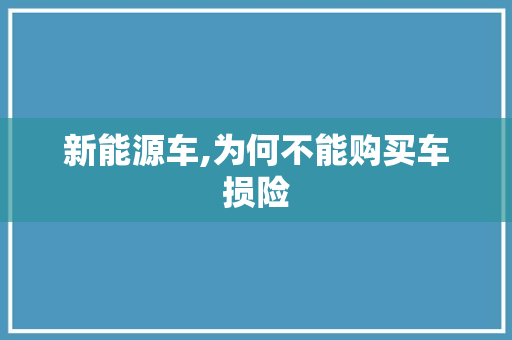 新能源车,为何不能购买车损险