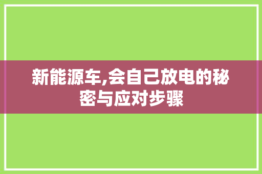 新能源车,会自己放电的秘密与应对步骤