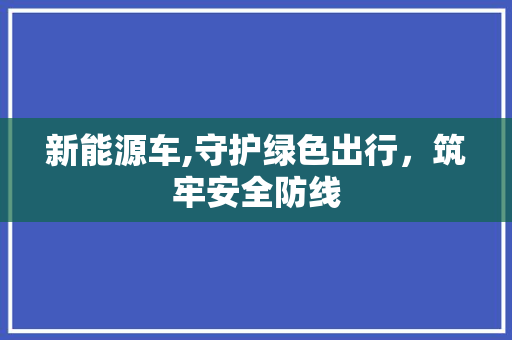 新能源车,守护绿色出行，筑牢安全防线