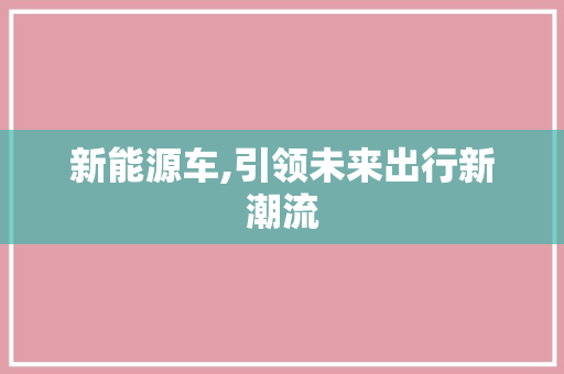 新能源车,引领未来出行新潮流