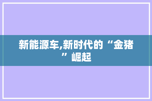 新能源车,新时代的“金猪”崛起