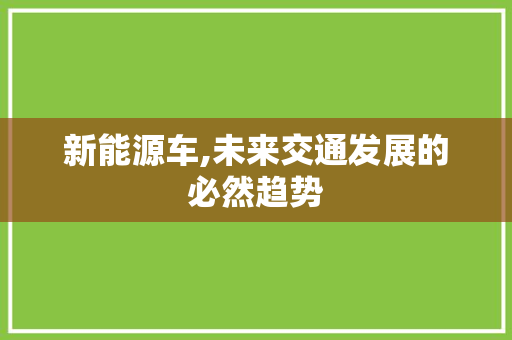 新能源车,未来交通发展的必然趋势