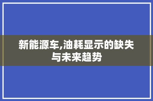 新能源车,油耗显示的缺失与未来趋势