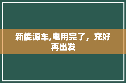 新能源车,电用完了，充好再出发