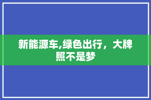 新能源车,绿色出行，大牌照不是梦