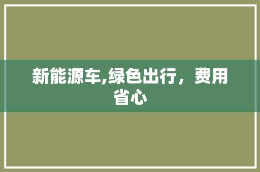 新能源车,绿色出行，费用省心