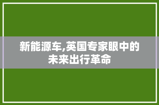 新能源车,英国专家眼中的未来出行革命
