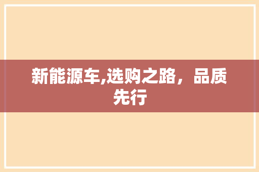 新能源车,选购之路，品质先行