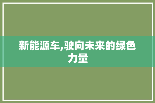 新能源车,驶向未来的绿色力量