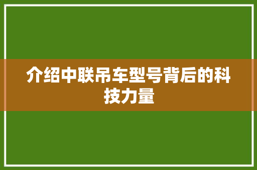 介绍中联吊车型号背后的科技力量