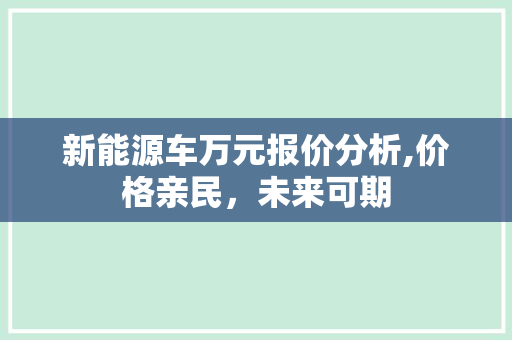 新能源车万元报价分析,价格亲民，未来可期