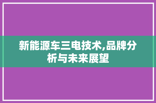 新能源车三电技术,品牌分析与未来展望