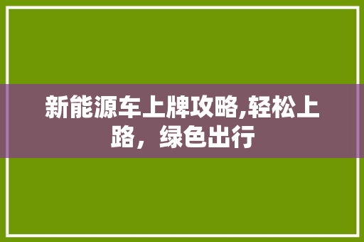 新能源车上牌攻略,轻松上路，绿色出行