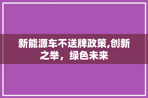 新能源车不送牌政策,创新之举，绿色未来