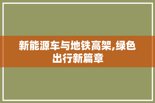 新能源车与地铁高架,绿色出行新篇章
