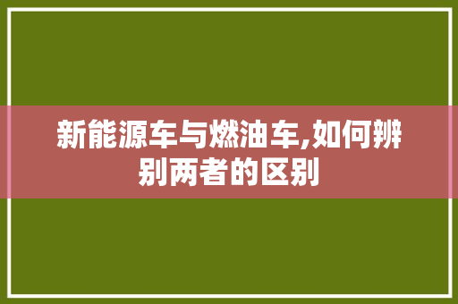 新能源车与燃油车,如何辨别两者的区别