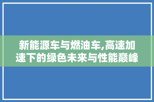 新能源车与燃油车,高速加速下的绿色未来与性能巅峰