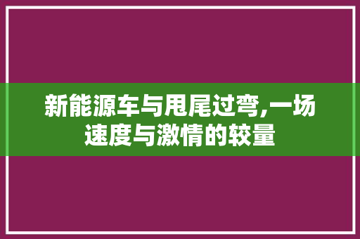 新能源车与甩尾过弯,一场速度与激情的较量