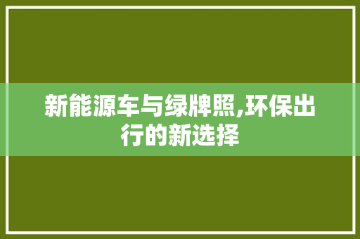 新能源车与绿牌照,环保出行的新选择
