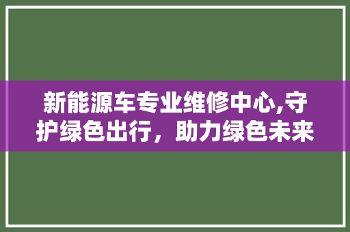 新能源车专业维修中心,守护绿色出行，助力绿色未来