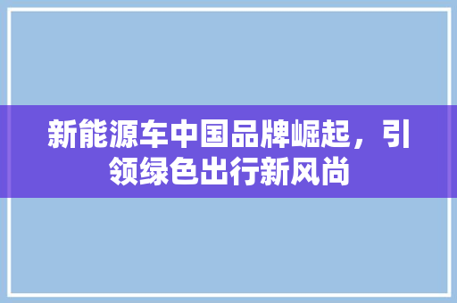 新能源车中国品牌崛起，引领绿色出行新风尚