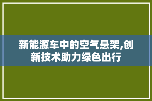 新能源车中的空气悬架,创新技术助力绿色出行