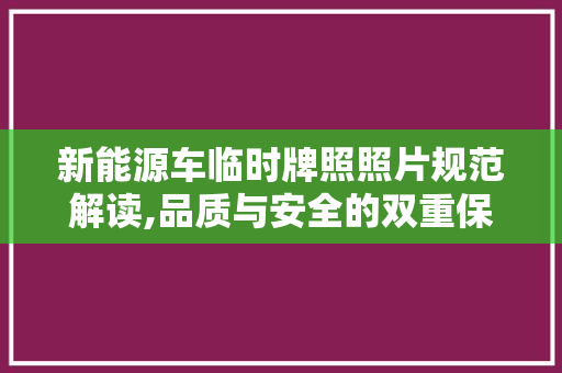 新能源车临时牌照照片规范解读,品质与安全的双重保障