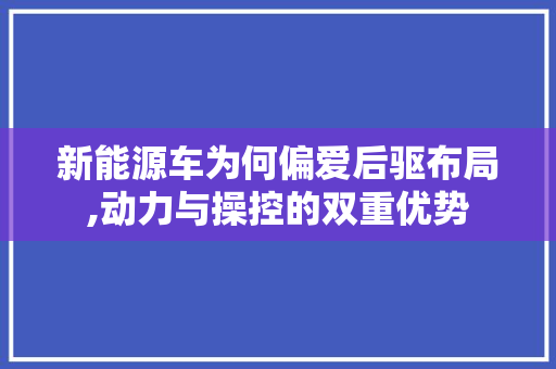 新能源车为何偏爱后驱布局,动力与操控的双重优势