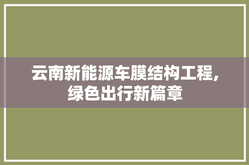 云南新能源车膜结构工程,绿色出行新篇章